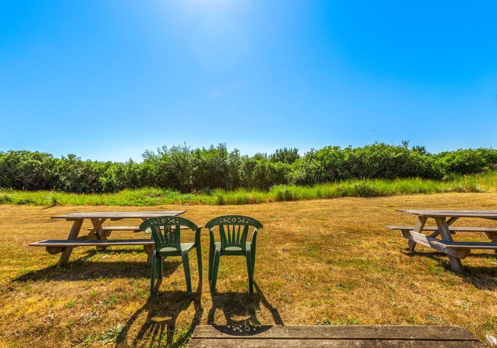 0cc60526 8ef8 4c teLjF homerunner