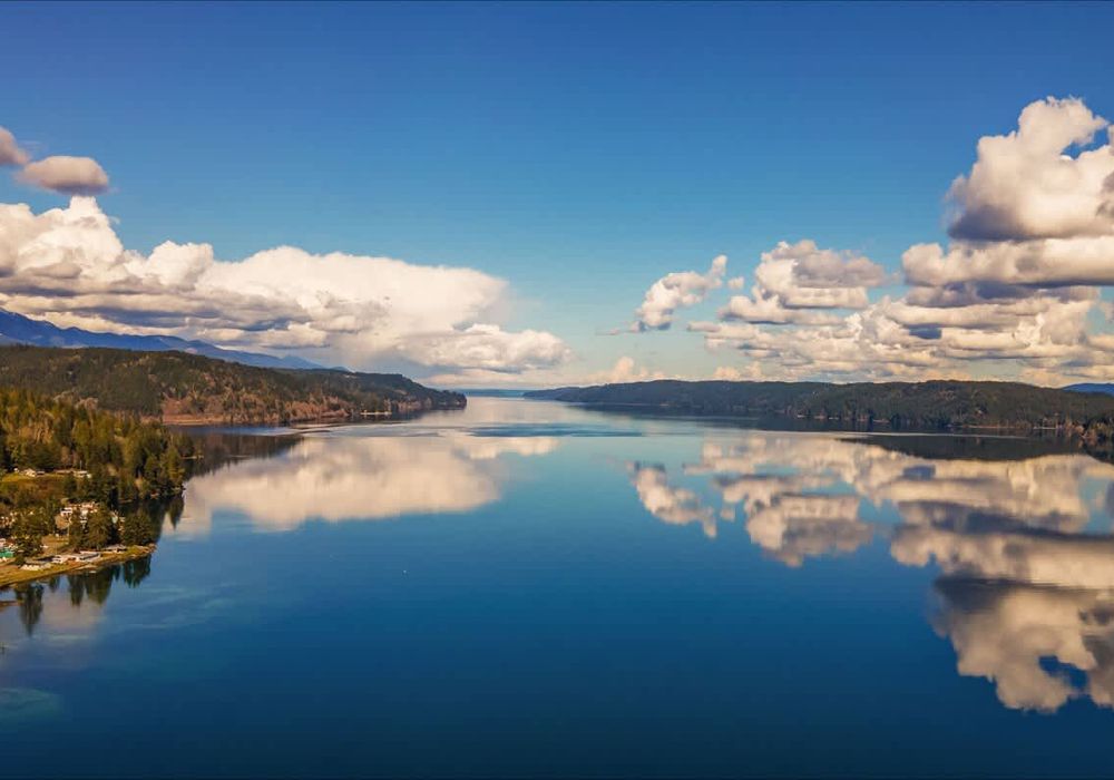 0bd4c5a6 8a63 4d qT7JJ homerunner