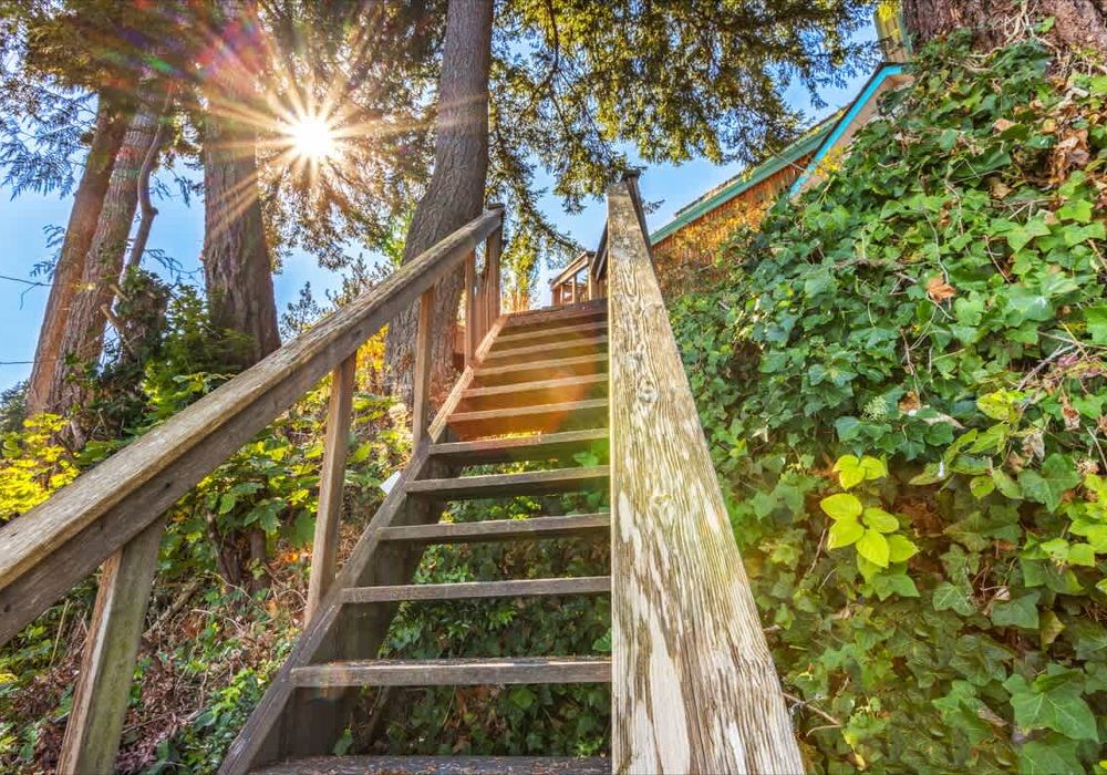 1ea8971c 2d26 43 Bdz6b homerunner