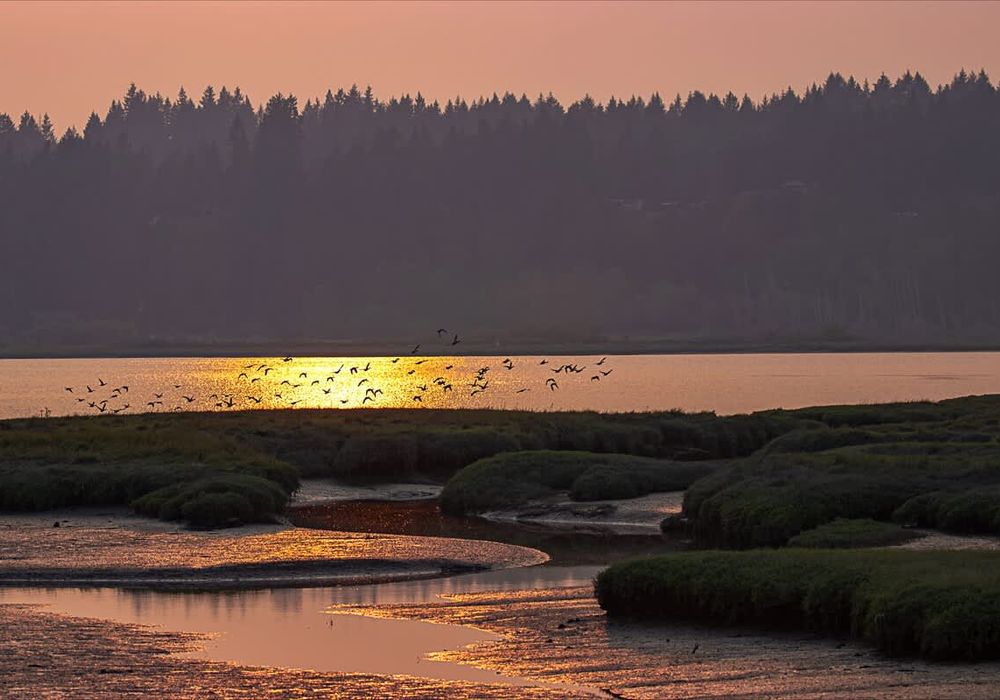 75f55e29 76de 4d uxA I homerunner