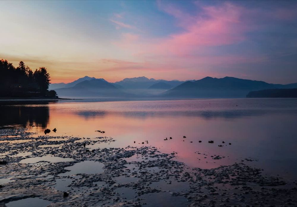 d0079e9f 6586 4c Ne2AR homerunner