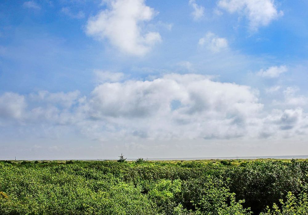 3069c467 5cfd 43 m Alr homerunner