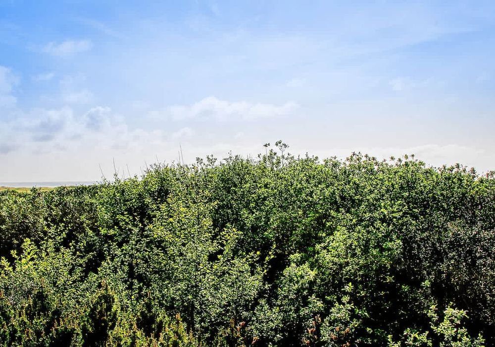 a2f5bbc0 d6b7 47 wZfkJ homerunner