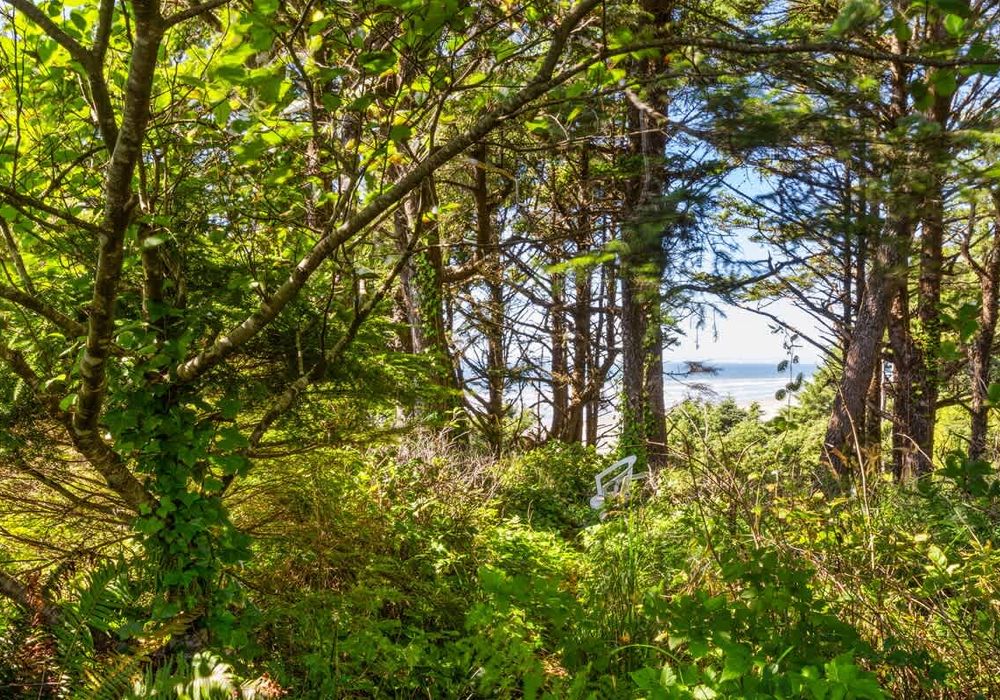 37be16c2 12df 4b xPs5Z homerunner