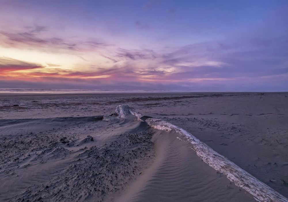 050c9aa3 b201 44 CQn1p homerunner