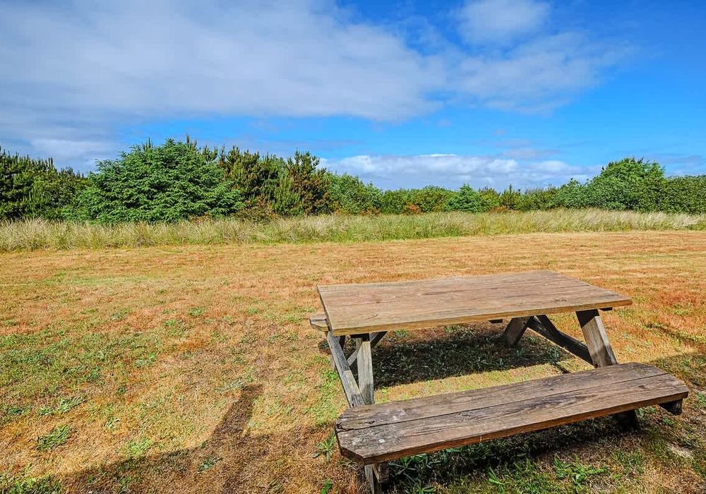 62058242 222e 4f 3O7oO homerunner