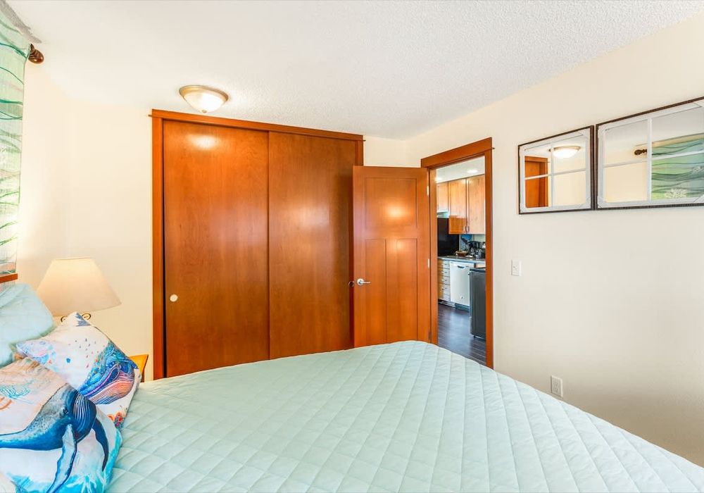 1d9cacf0 862f 40 TkrDN homerunner