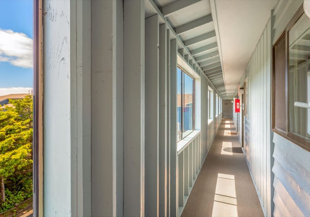 71e95e93 ebef 4e SHoNT homerunner