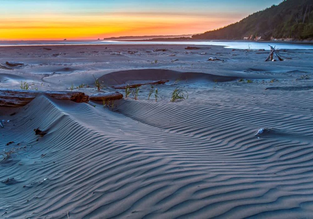 44d1315f d57b 45 lFsVA homerunner