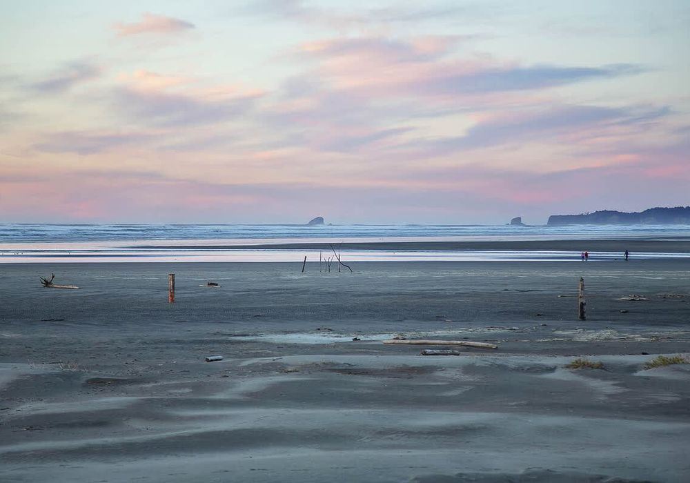 5fc20532 0e5f 42 1sKW homerunner