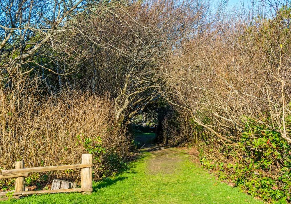 96b107cd ec83 4c jEMOc homerunner