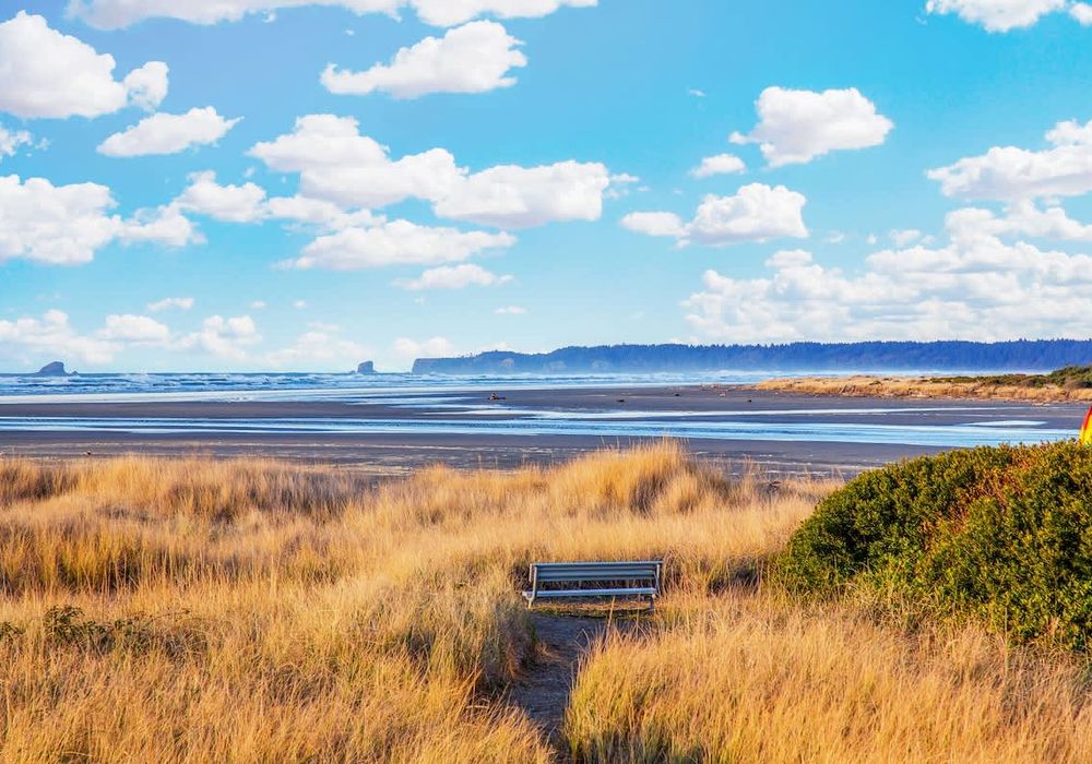 d506cd96 0bf0 4c kQAia homerunner