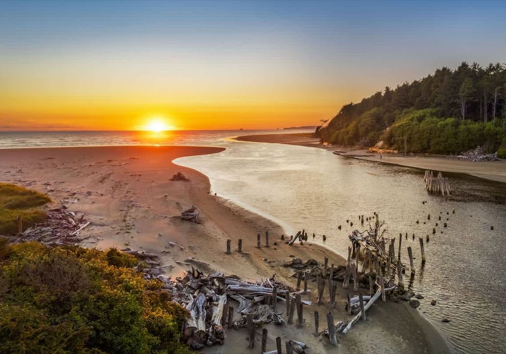 df5c48e1 64f5 48 i1Lhf homerunner