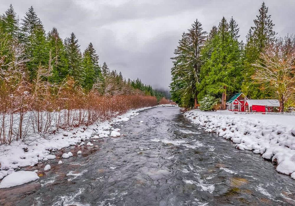 50e962a2 1c27 42 X0m F homerunner