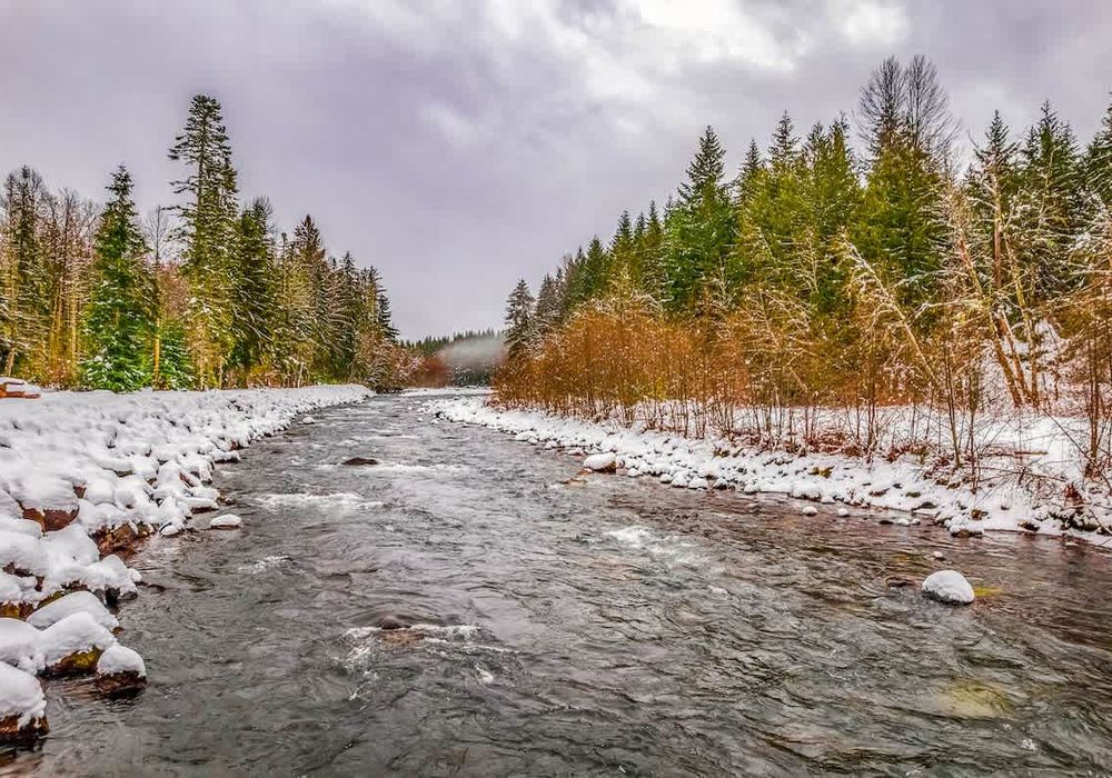 53fede33 3ac1 46 ap8c6 homerunner