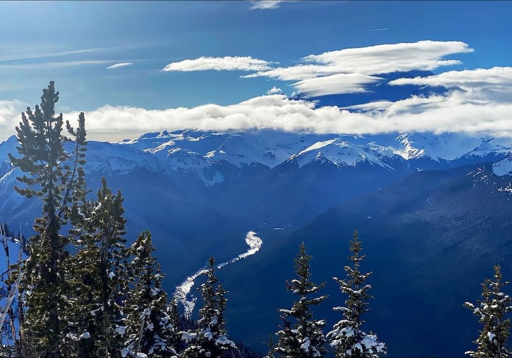 dc6c5d9c fa5d 4a gA3Au homerunner