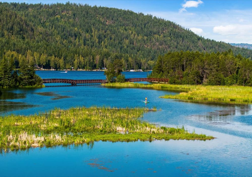 2e3f1982 4f8d 4c r0g q homerunner