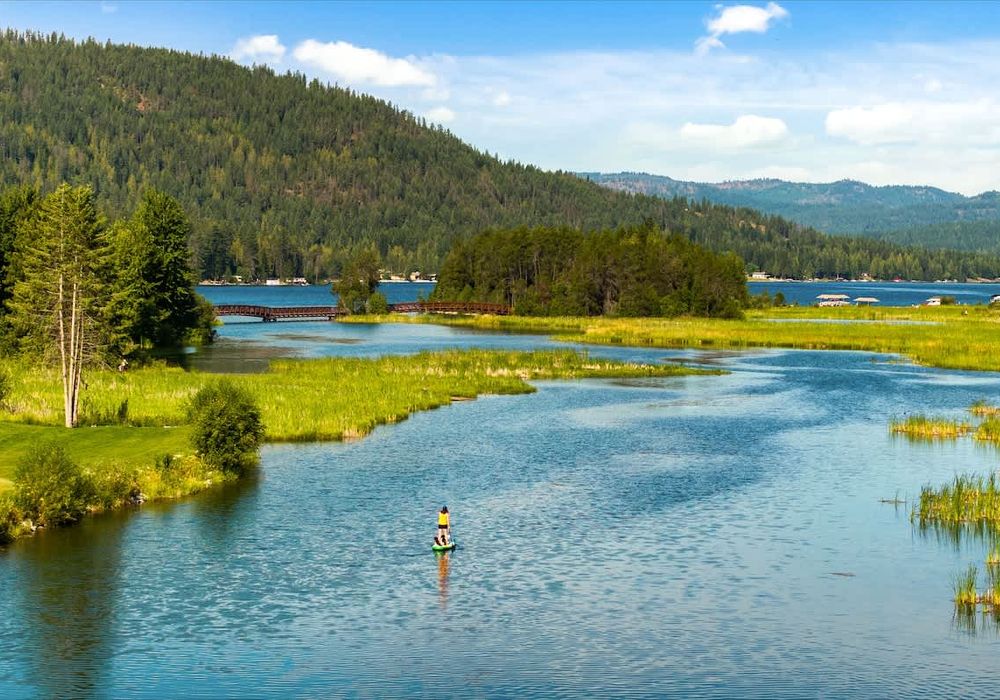 b6d1ceec b36f 4a EBPHB homerunner