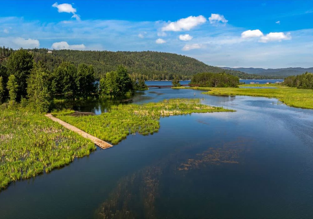 e52a4c94 8aad 48 BESEO homerunner