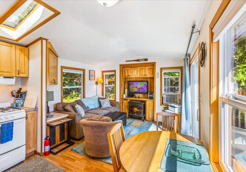 f0fcf5d6 e956 4d Diaea homerunner