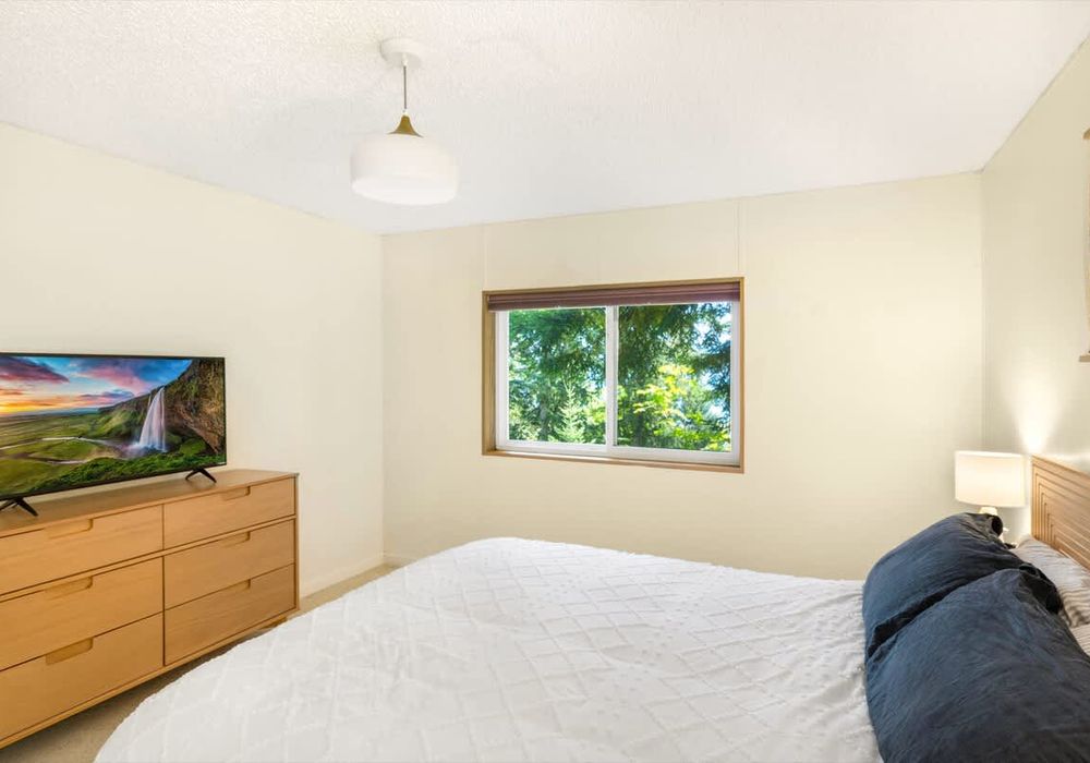 39999079 0190 48 N40EQ homerunner