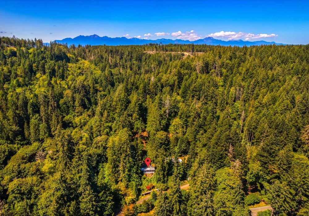 6c5f0eaf 6495 4d 1pbNI homerunner