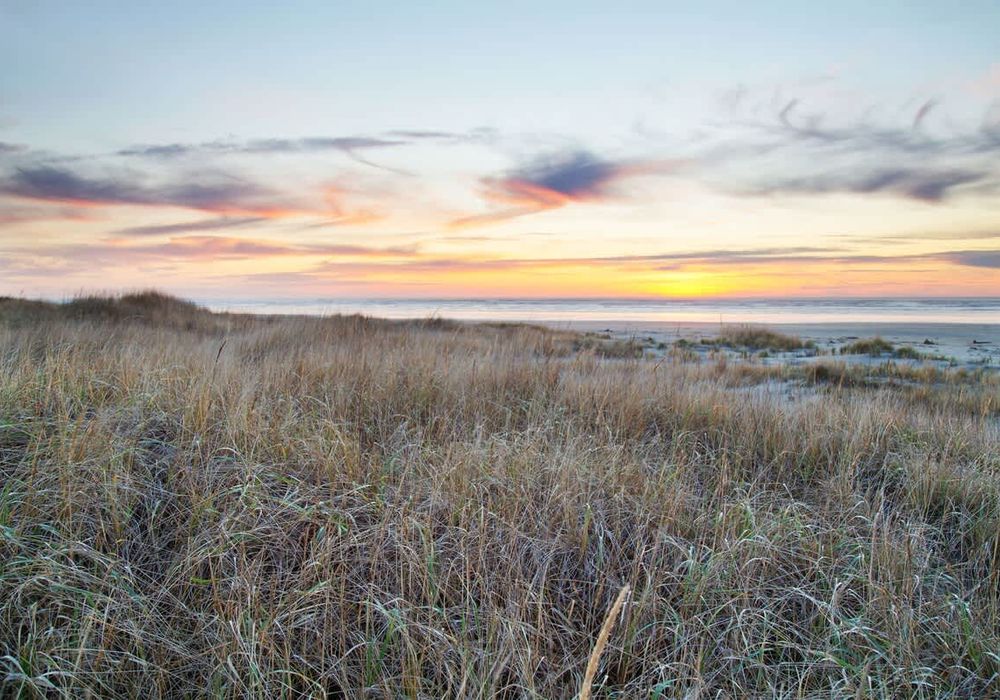 259259c5 d618 4c XMBZK homerunner