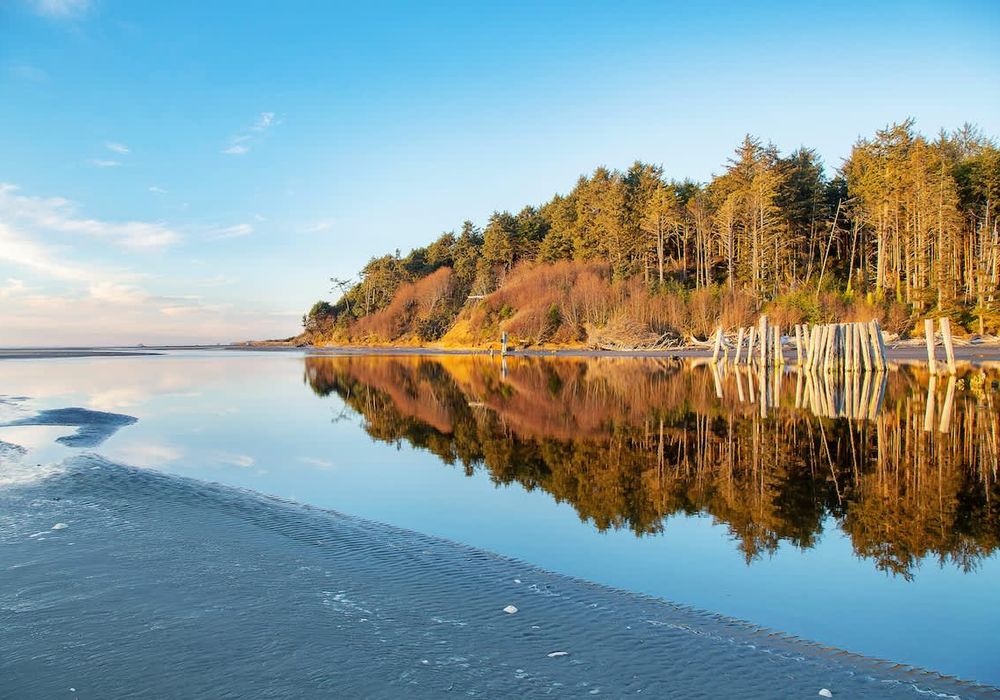 a16a4e23 59d1 42 0TCR3 homerunner