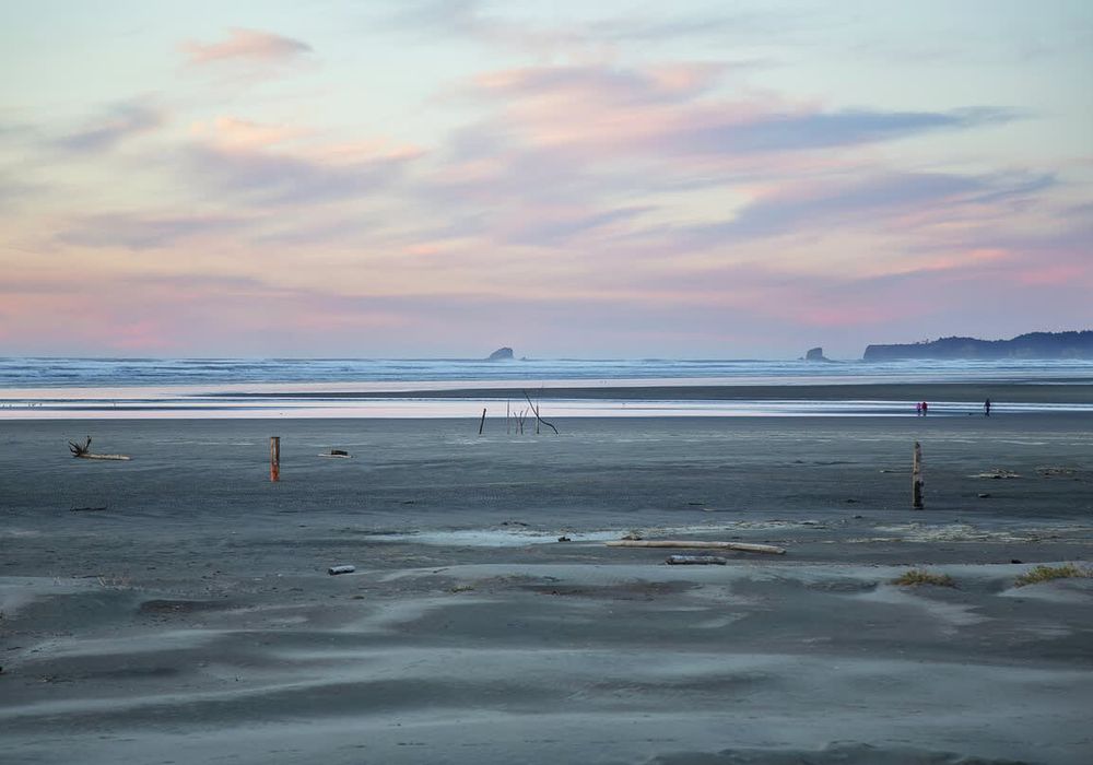 af00d879 2356 47 cAwg0 homerunner