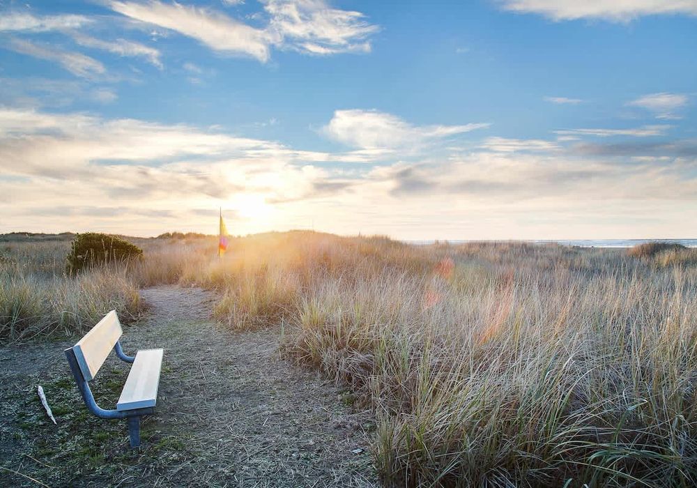 ba3686e5 2024 45 Om3Kp homerunner