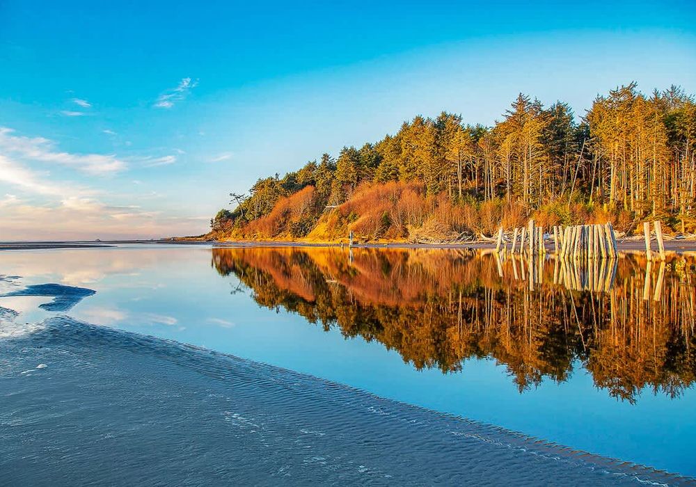 48c38a7f 9d0b 48 B6R2f homerunner