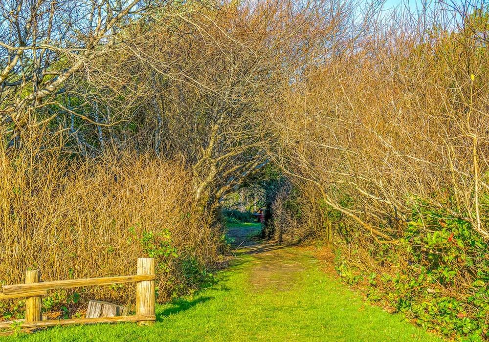 653980d6 0f8a 4d kfX1u homerunner