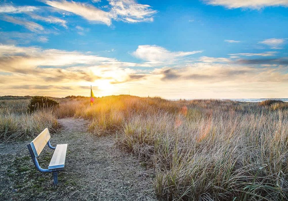 91bd4d31 ebac 42 cyGb7 homerunner