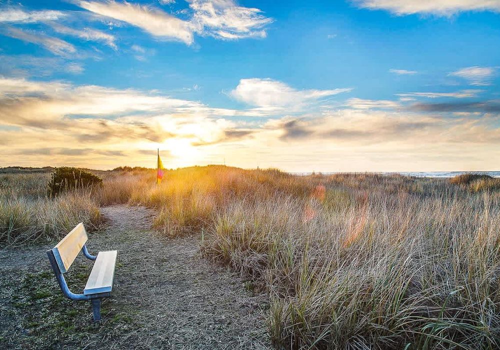 978299d1 c019 4e bEmgV homerunner