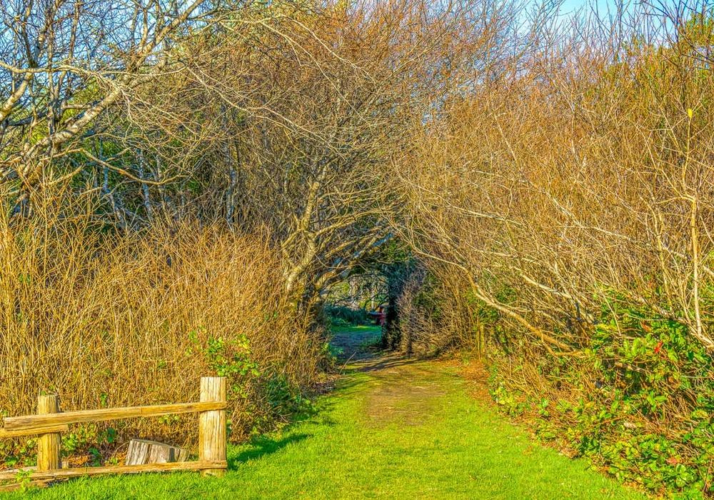 a2821d8d 6d63 49 YzUka homerunner