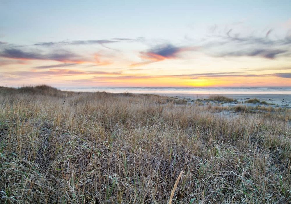 fec192f0 870e 48 BzmBl homerunner