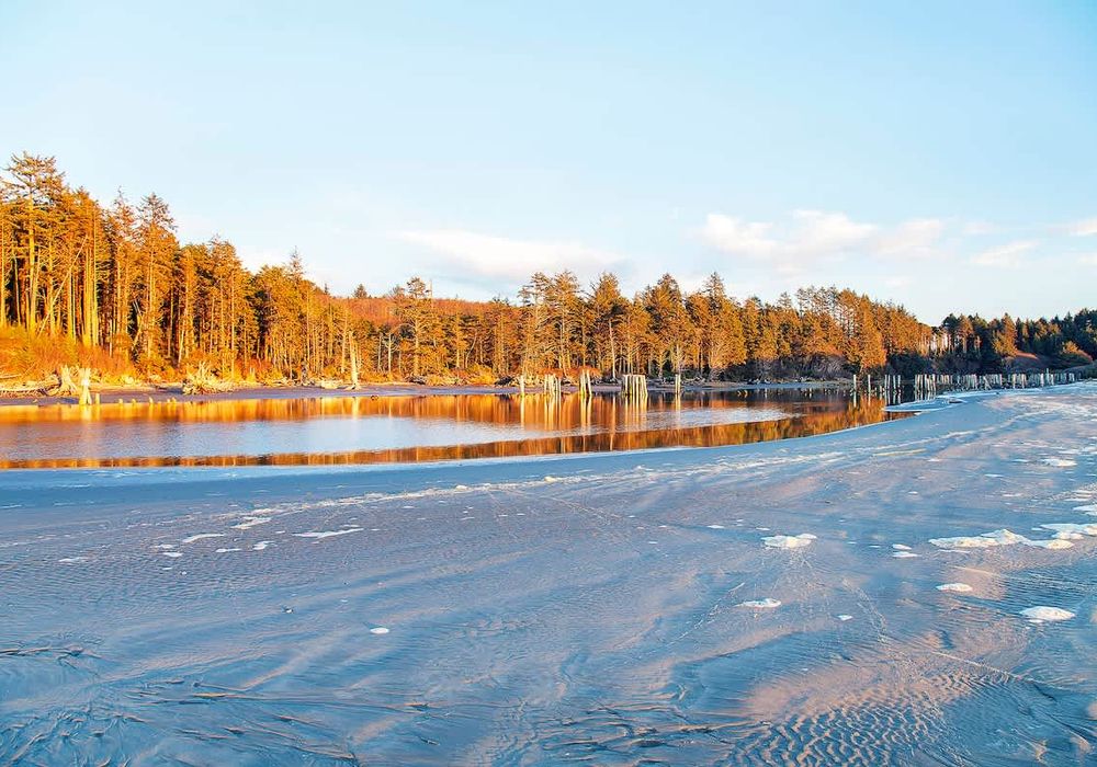 275d514b 32fb 4e NnxLZ homerunner