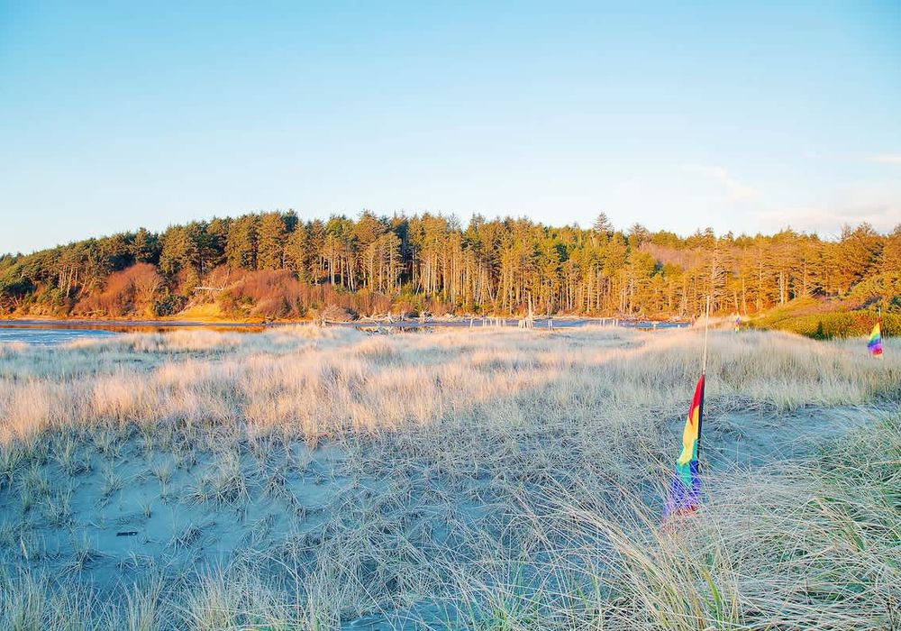 565b4bff fc4a 4f tw4ab homerunner