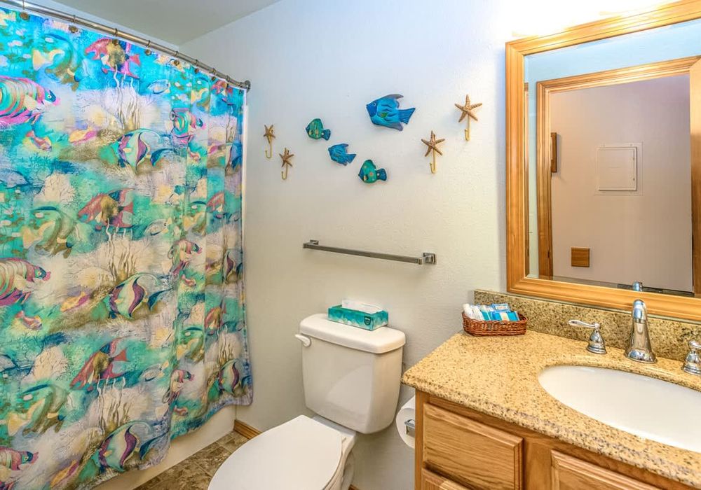 131b584c c686 42 7Near homerunner