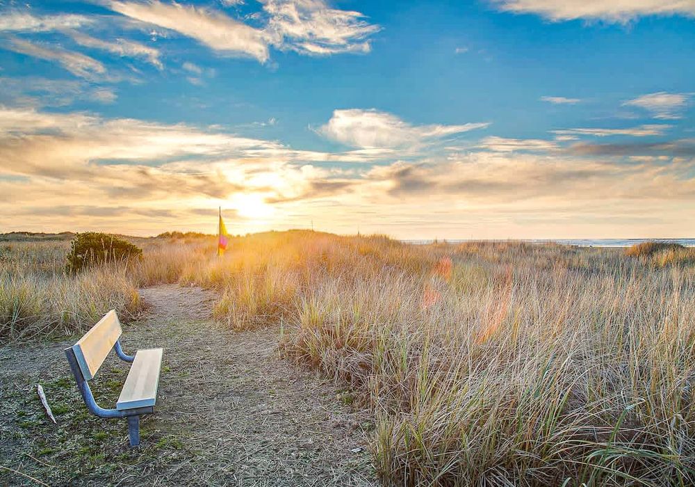 8cde2a14 798e 4f gjsLC homerunner