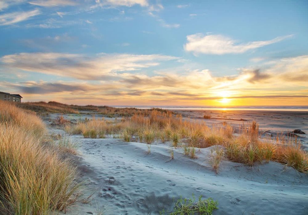 28692dbd 63b0 4b 8lxPe homerunner