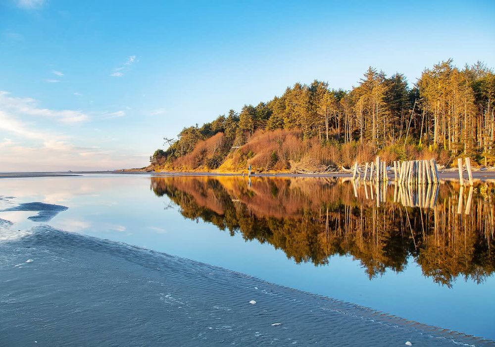 76061dae bca8 46 rJlIR homerunner