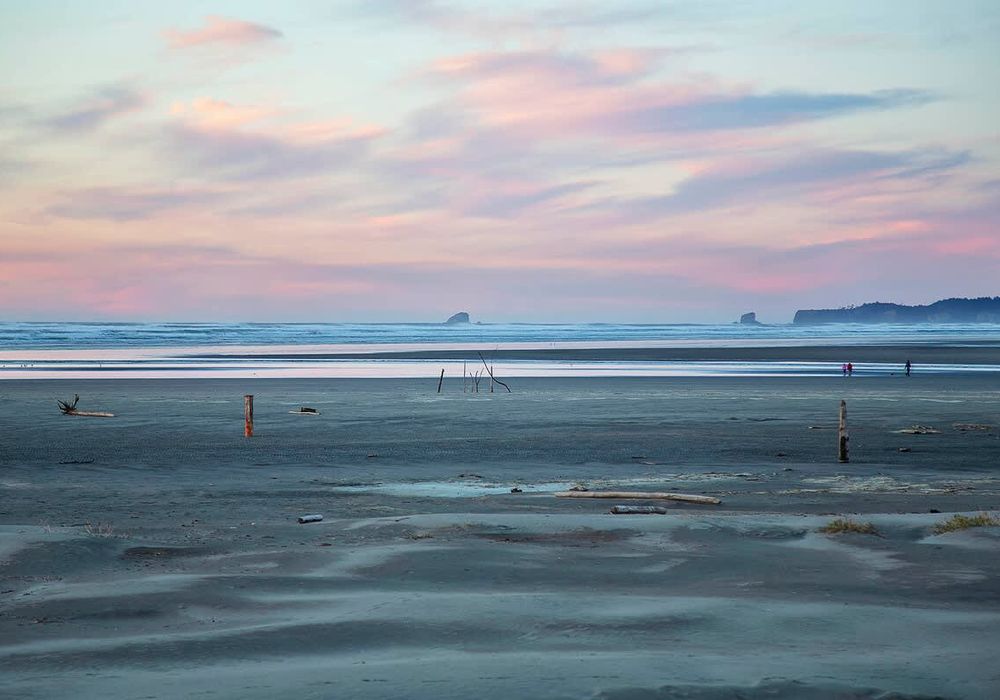 85e22045 78c5 4d Lvvyq homerunner