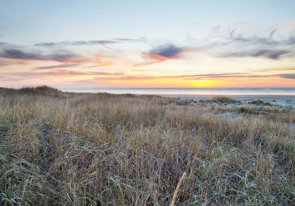 d9c1df7d c3fb 4b NjQb homerunner