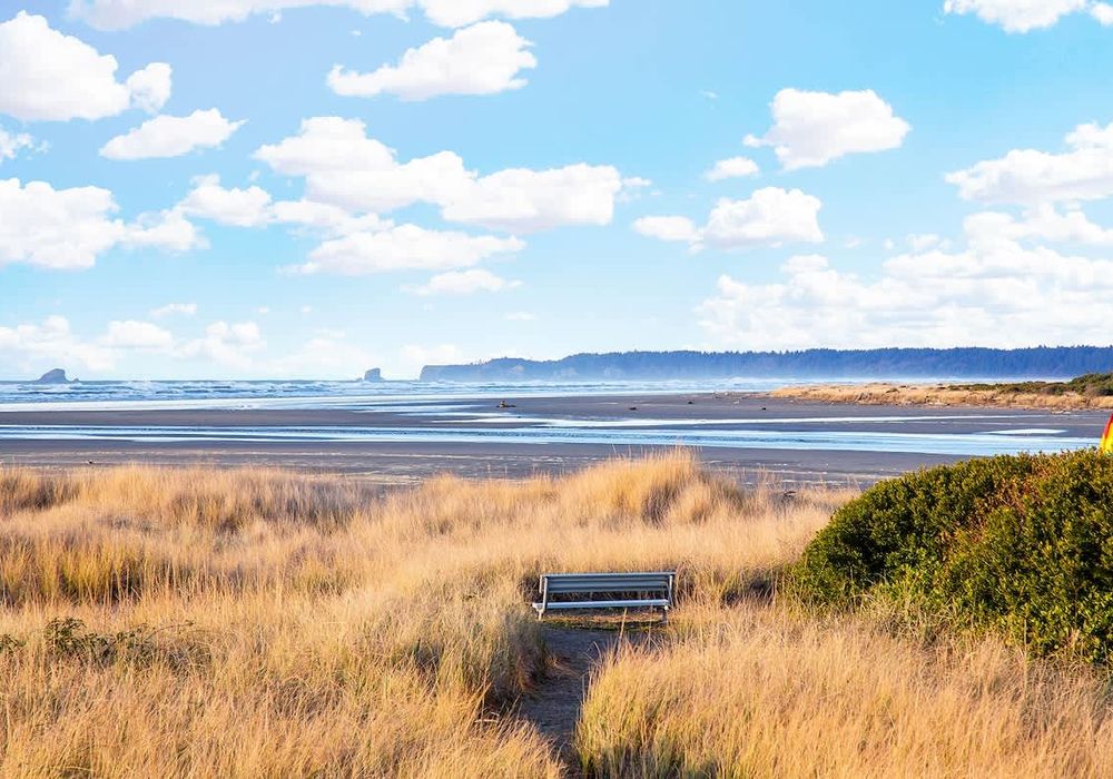 fcdc3f03 ce65 47 JC WC homerunner