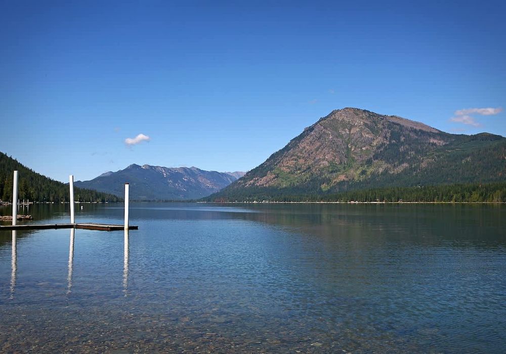 4847ec93 b1fc 46 99CFf homerunner