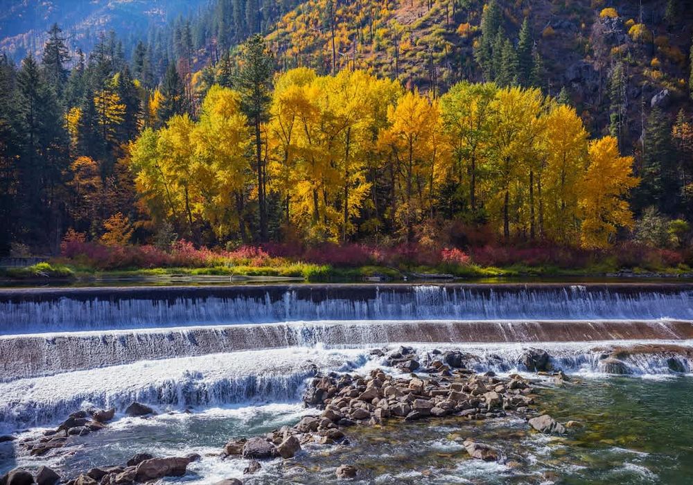 57230e6b 5868 42 hjTdS homerunner