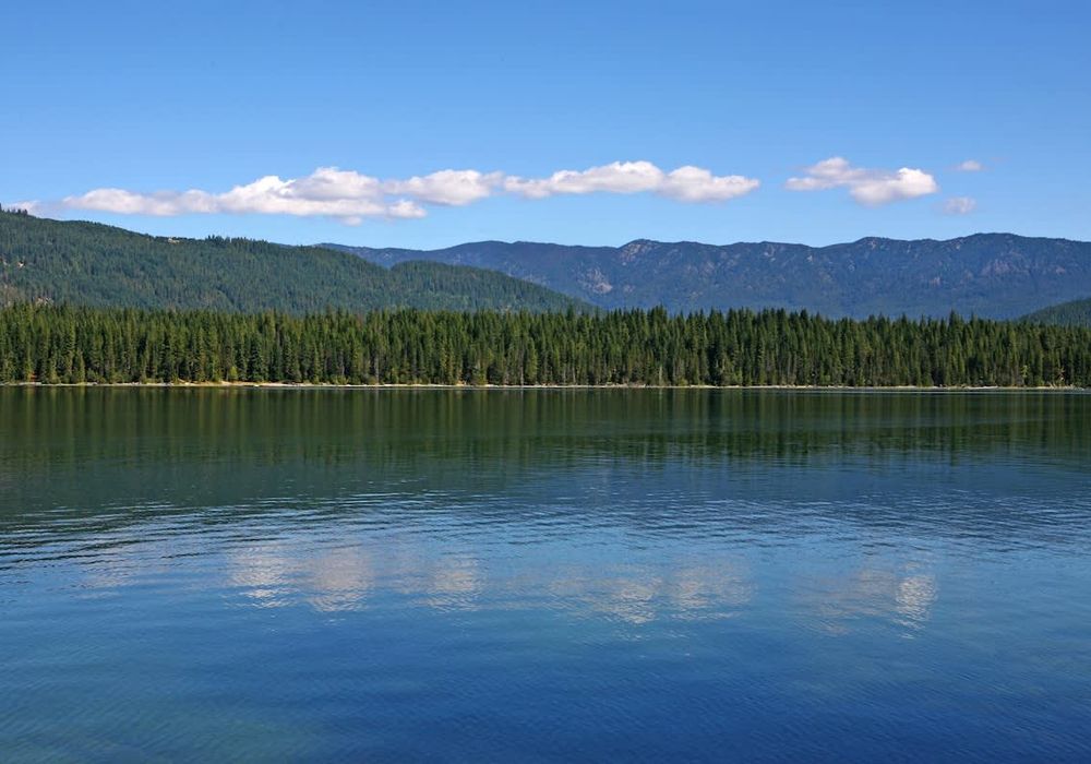 c958beb1 bd0f 4f mGWCH homerunner