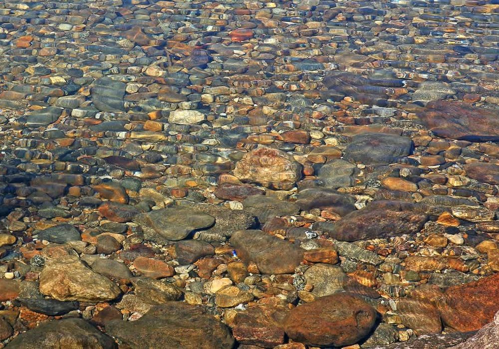 e4a89f21 832a 43 44 LX homerunner