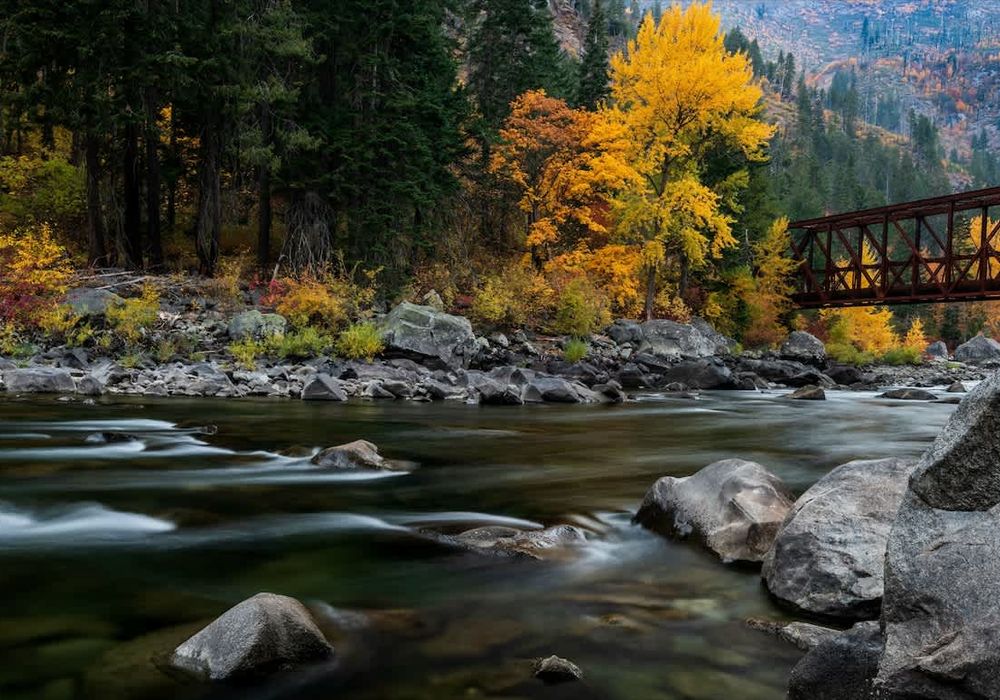 fbafc12b 0fb9 47 bhCpy homerunner